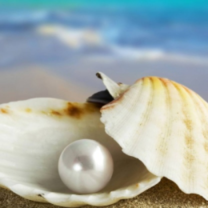 3d-seashell-and-pearl-backgrounds-wallpapers